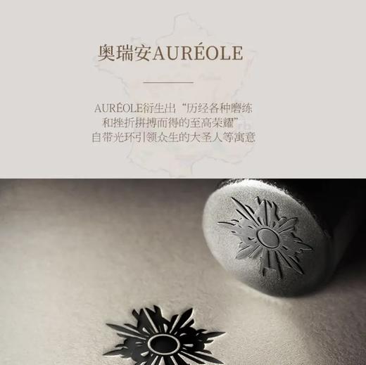 【国际奖项加身】奥瑞安天使干红葡萄酒 法国进口 14.5%vol 商品图9