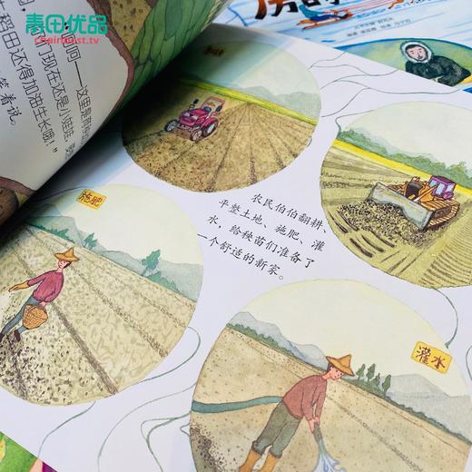 9团《万物由来大揭秘绘本系列》全10册（第一辑+第二辑） 商品图10