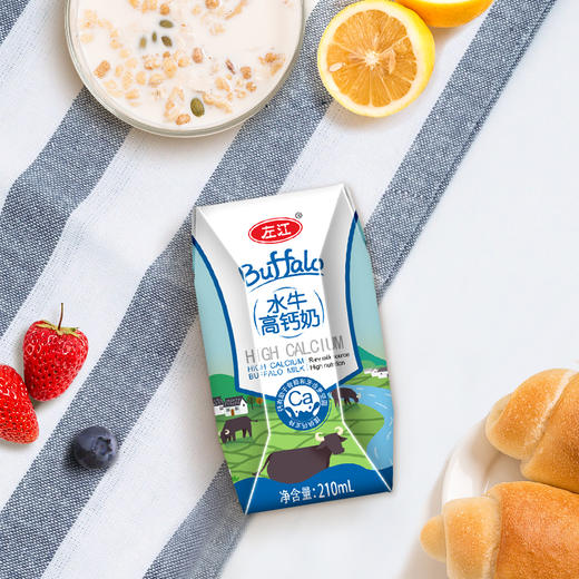 左江水牛高钙牛奶210ml*10 商品图7