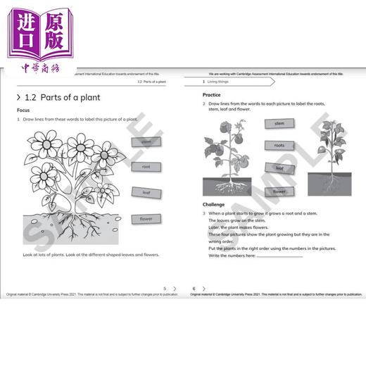 NEW Cambridge Primary Science Workbook 1剑桥小学科学练习册一年级 商品图3