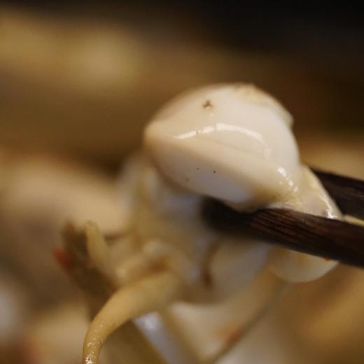 下酒好食材 | 福建莆田带泥活海蛏子 推荐倒插蛏清蒸 商品图9