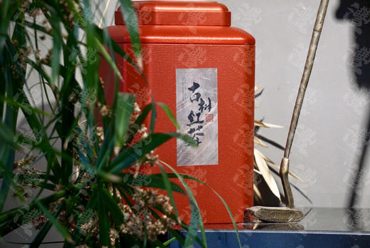 武夷野生正山小种 500克罐装 商品图0