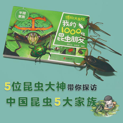 博物大发现 我的1000位昆虫朋友 全5册 7-10岁 唐志远等 著 科普百科 商品图2