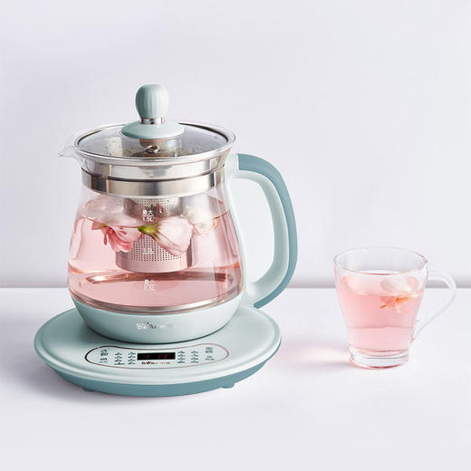 YSH-C15W2 养生壶 商品图5