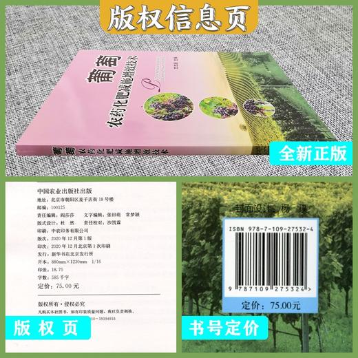 葡萄农药化肥减施增效技术 商品图2