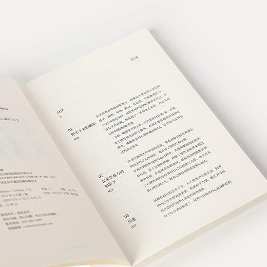 当你被看见 心理咨询如何帮你走出困境 胡素卿 著 心理学 商品图2