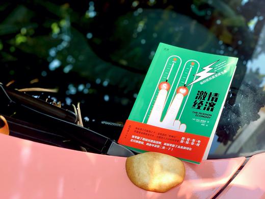 激情经济 商品图1