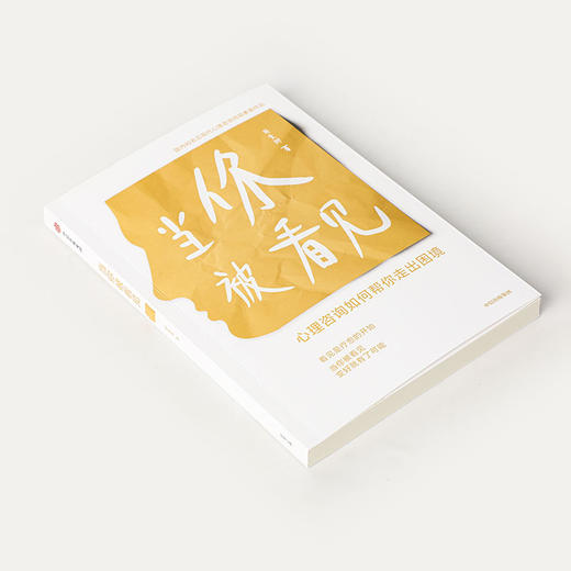 当你被看见 心理咨询如何帮你走出困境 胡素卿 著 心理学 商品图1