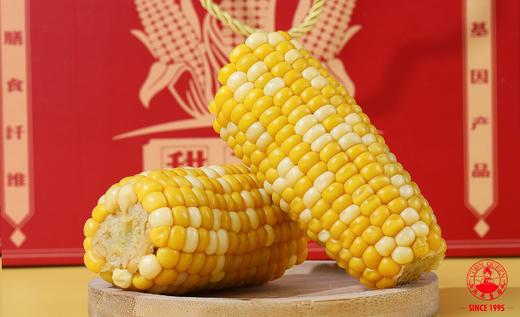 玉米皇后水果玉米4.5斤现摘新鲜糯甜玉米棒子爆浆生嫩即食包邮蔬菜  全国包邮 商品图4