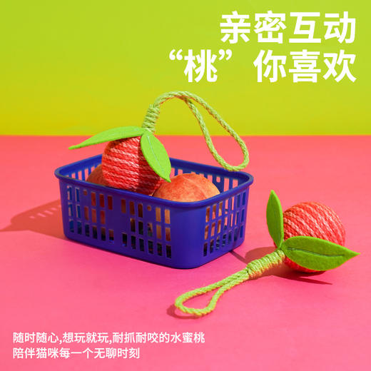 zeze-水果剑麻球玩具-B （包邮） 商品图1