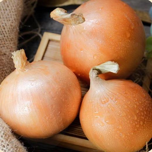 有机水果黄洋葱 商品图1