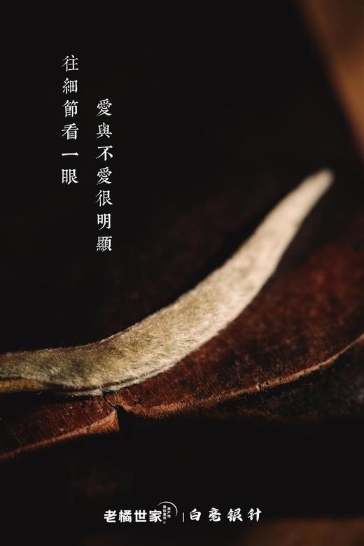 白毫银针荒野头采银针2022年特级散茶白茶 商品图5