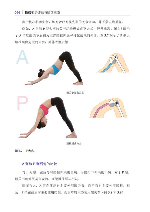 (仓发) 瑜伽姿势评估与矫正指南/北京科学技术出版社/(韩) 郑斗和/9787571409821 商品图6