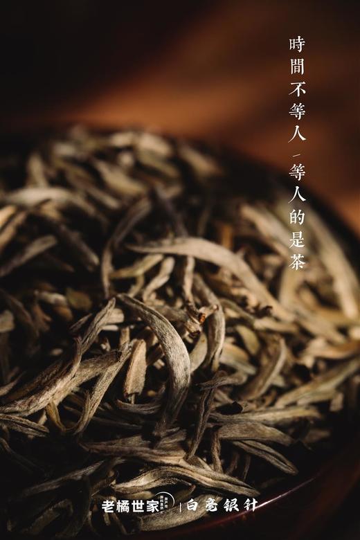白毫银针荒野头采银针2022年特级散茶白茶 商品图8