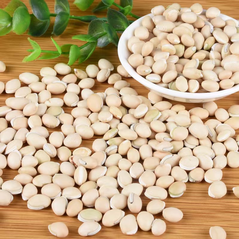 甄选     白扁豆