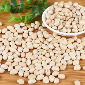 甄选     白扁豆