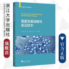 氢能发展战略与前沿技术/浙江大学出版社/科技创新与战略发展/陈琳 魏凤 黄开耀 周洪等