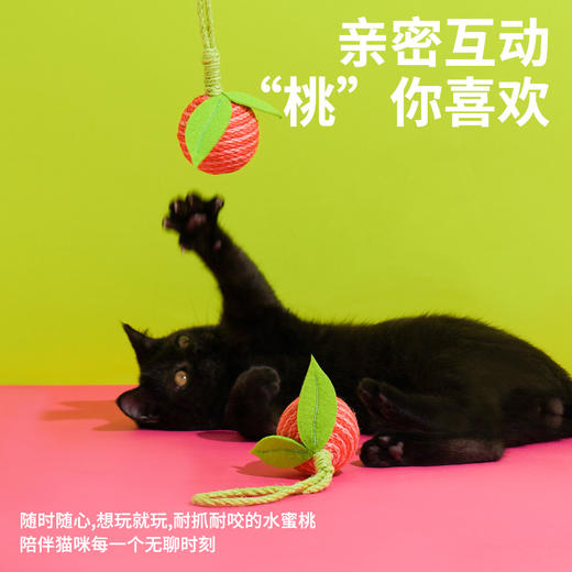 zeze-水果剑麻球玩具-B （包邮） 商品图2