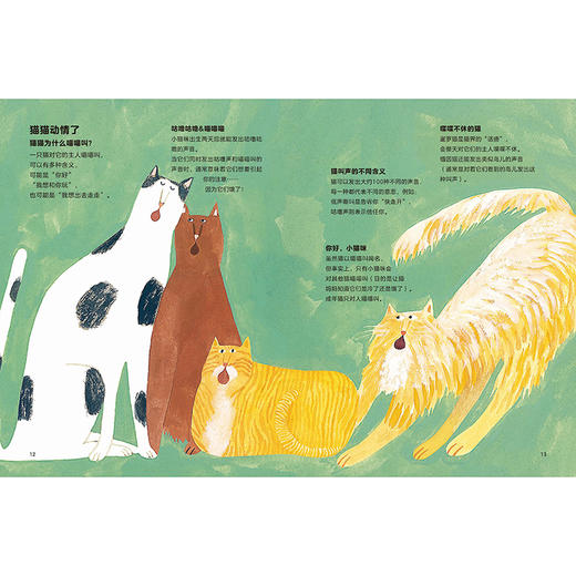 猫猫为什么喵喵叫?(聪明豆.人文科普绘本馆) 商品图2