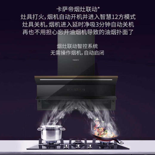 卡萨帝（Casarte）烟机CXW-258-C6Q90FGU1 商品图3