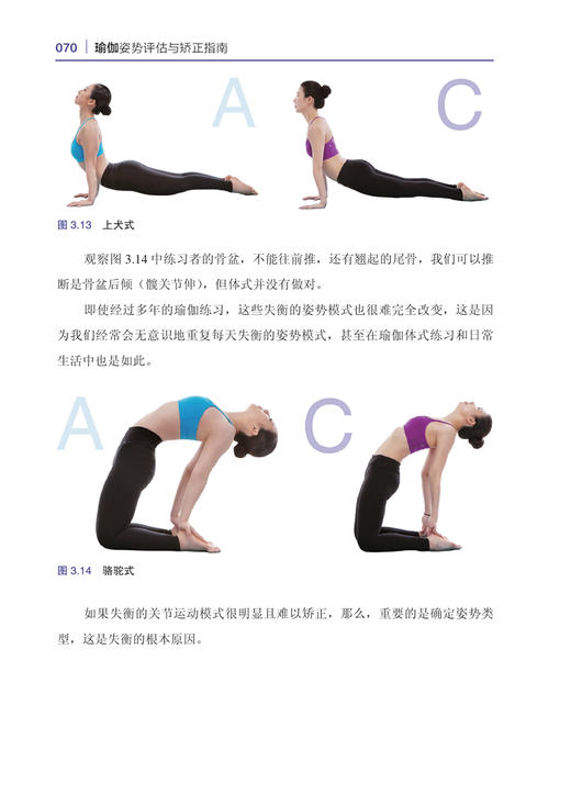 (仓发) 瑜伽姿势评估与矫正指南/北京科学技术出版社/(韩) 郑斗和/9787571409821 商品图9