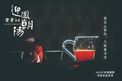 2022 迎凤朝阳 布朗山宫廷料 357克 七子饼茶 商品图9