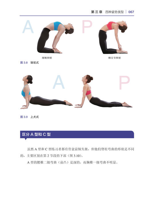 (仓发) 瑜伽姿势评估与矫正指南/北京科学技术出版社/(韩) 郑斗和/9787571409821 商品图7