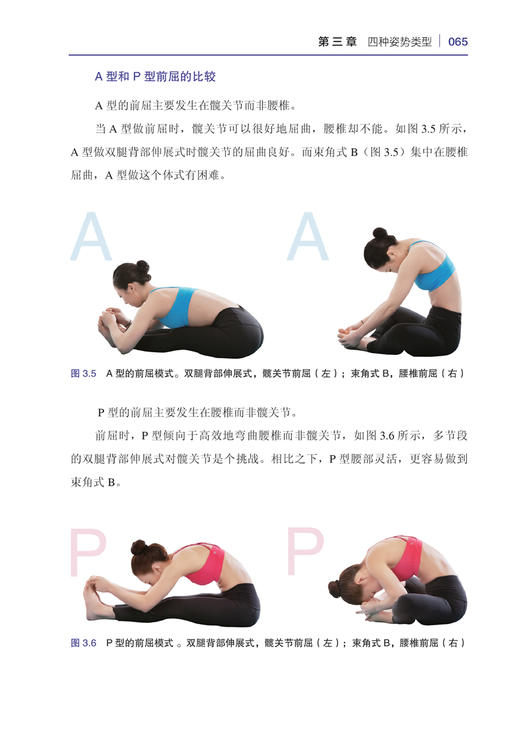 (仓发) 瑜伽姿势评估与矫正指南/北京科学技术出版社/(韩) 郑斗和/9787571409821 商品图5