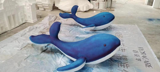 特价款海豚（运费自理） 商品图0