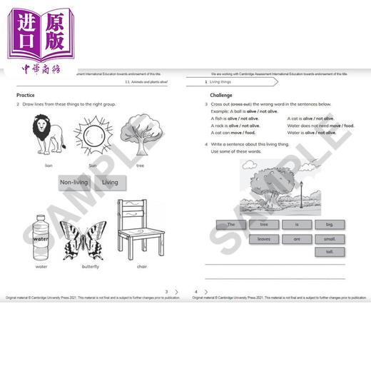 NEW Cambridge Primary Science Workbook 1剑桥小学科学练习册一年级 商品图2