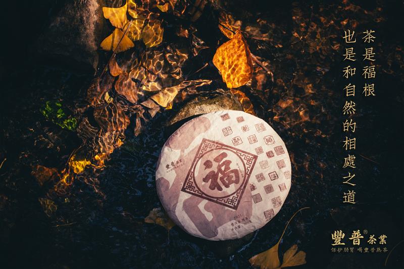豐普 2021福饼 景迈山老料新压，口感不错的熟茶