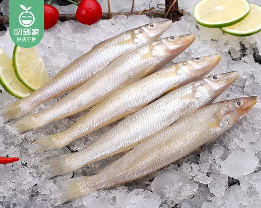 本港海捕大金梭鱼（冰鲜-杀完）/1份（8-12条，共350g-400g） 商品图5