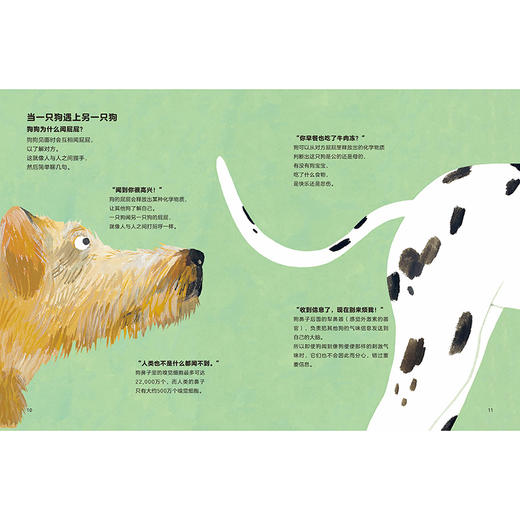 聪明豆.人文科普绘本馆1：揭秘人类的动物朋友（猫+狗） 商品图2