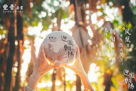 2022 迎凤朝阳 布朗山宫廷料 357克 七子饼茶 商品图0