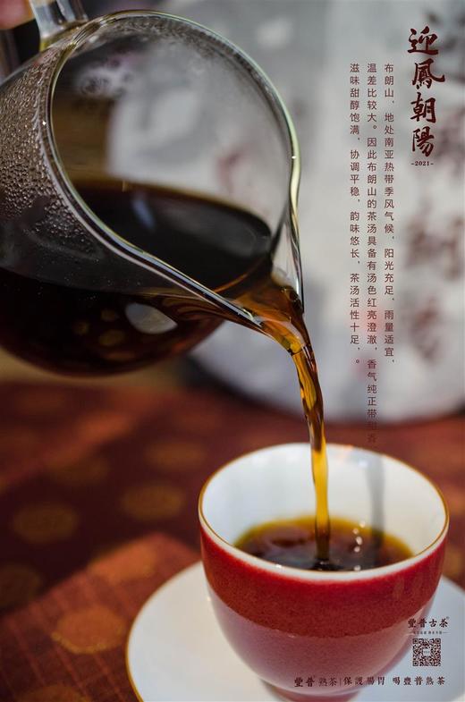 豐普古茶 2021年迎凤朝阳 普洱茶熟茶 商品图4