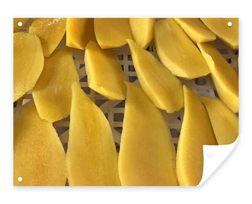 【产地直发包邮】云南柠檬君—懒芒果干 商品图3