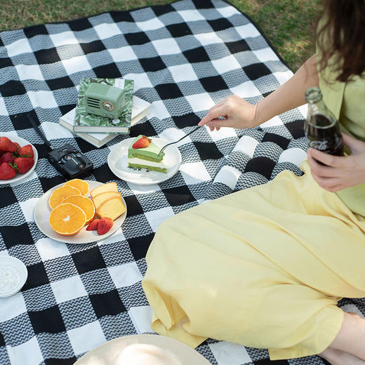 经典黑白格野餐垫户外便携野炊垫 商品图1