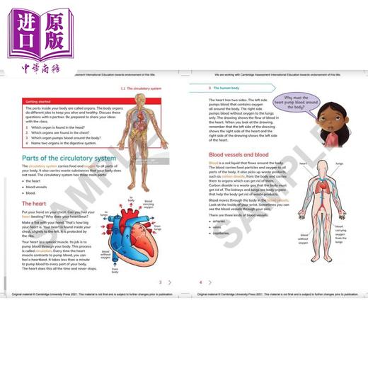 NEW Cambridge Primary Science Learner's Book 6 with Digital Access (1 Year) 剑桥小学科学学生书六年级 商品图2