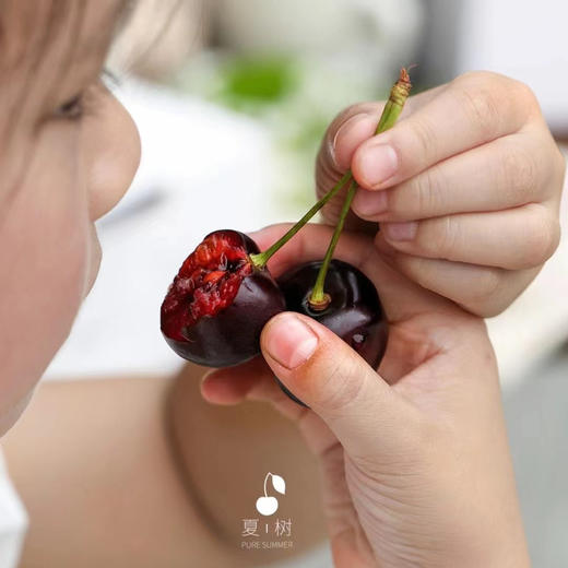 夏树®丨国产车厘子 2斤/盒（80-90颗） 商品图3