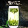 巴山雀舌100g罐装 商品缩略图1