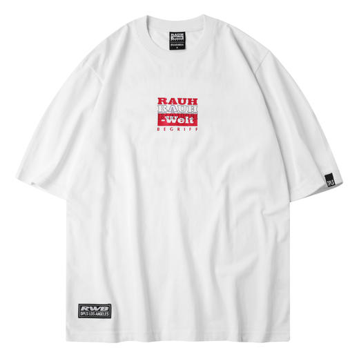 DPLS X RWB METALLIC PRINT LOGO TEE 商品图8