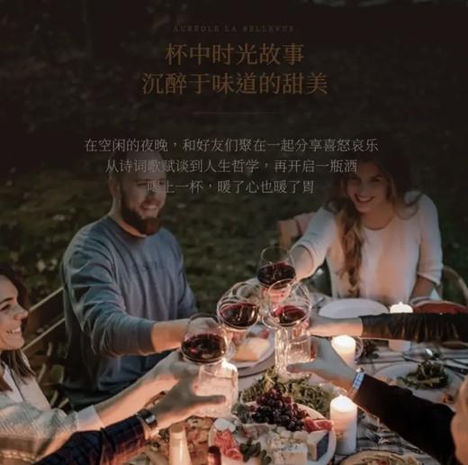 【国际奖项加身】奥瑞安天使干红葡萄酒 法国进口 14.5%vol 商品图7
