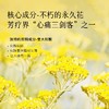 枕草子【活力】纯精油 | 醒神香气，蔫星人的蓬勃生命力 商品缩略图2