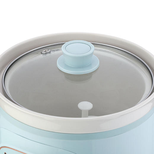 DDG-D20Z6 电炖锅 商品图5