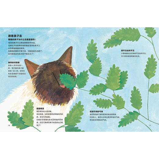猫猫为什么喵喵叫?(聪明豆.人文科普绘本馆) 商品图3