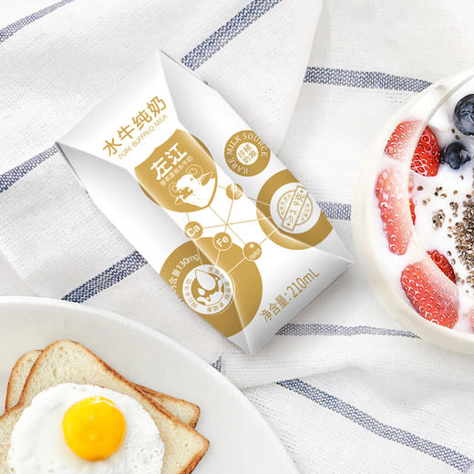 左江水牛纯牛奶210ml*10 商品图6