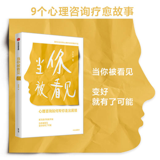 当你被看见 心理咨询如何帮你走出困境 胡素卿 著 心理学 商品图3