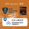 音乐录音手册 管弦乐团及其他古典乐队录音指南 录音师入门指导手册多声道录音与混音指南交响乐协奏曲录音师制作艺术技巧 商品缩略图4