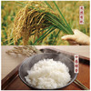桂花甲宜馥臻稻10kg/袋 商品缩略图2