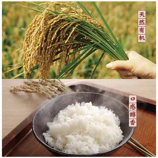 桂花甲宜馥臻稻10kg/袋 商品图2